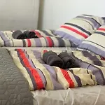 Appartement Levendulakert Apartmanhaz *